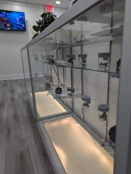 Product display case